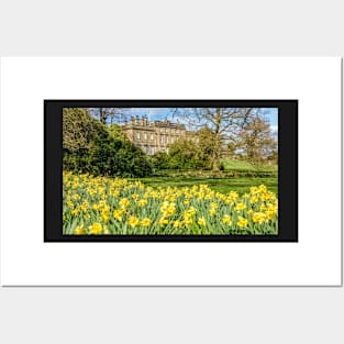 Daffodils in full bloom at Cannon Hall, Barnsley, Yorkshire,UK Posters and Art